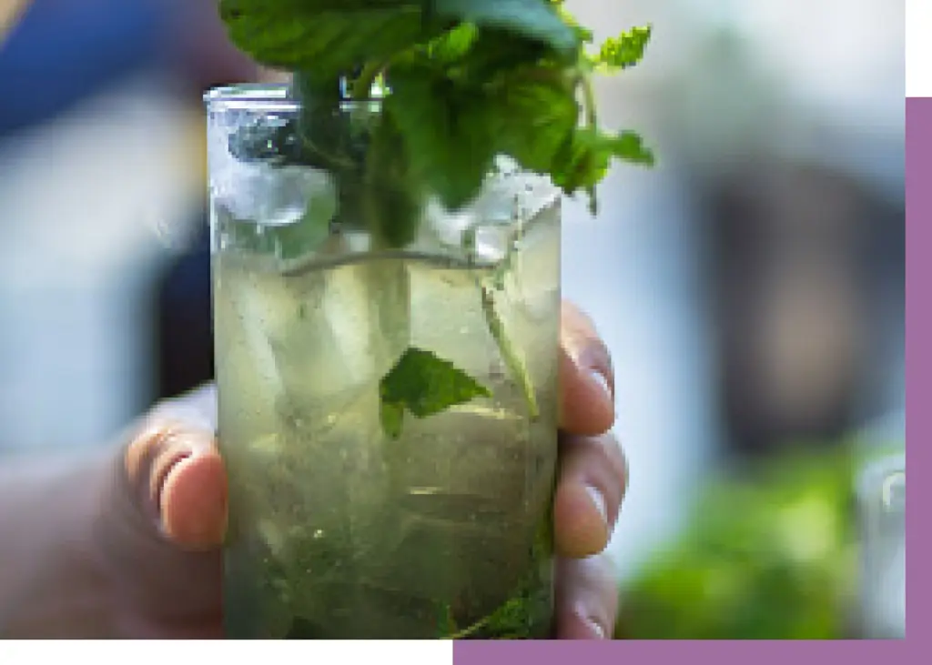 Lavender mojito cocktail with mint leaves in a tumbler glass